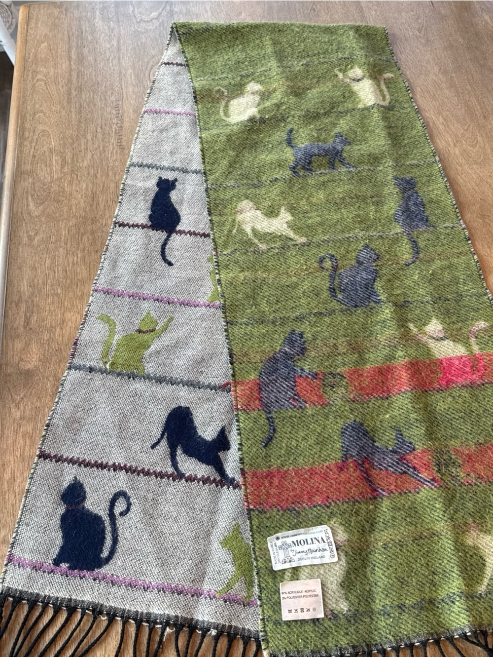 Molina by Jimmy Hourihan Cat Scarf Made in France Fringe Kittens Print SOFT!